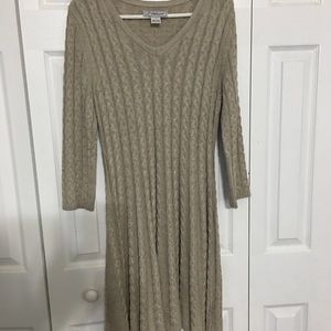 Sweater dress.  Long sleeve.  Never worn.